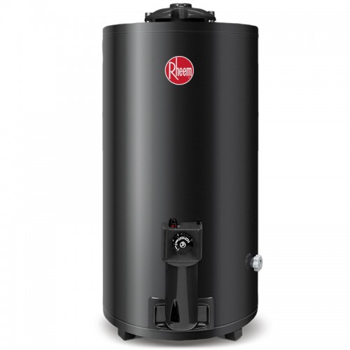 Termotanque Gas Natural Rheem Tgnp080rh 80 Lt Conex Superior