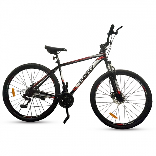 Imagen miniatura Bicicleta Mtb Kany R29" 21vel F/disco Aluminio