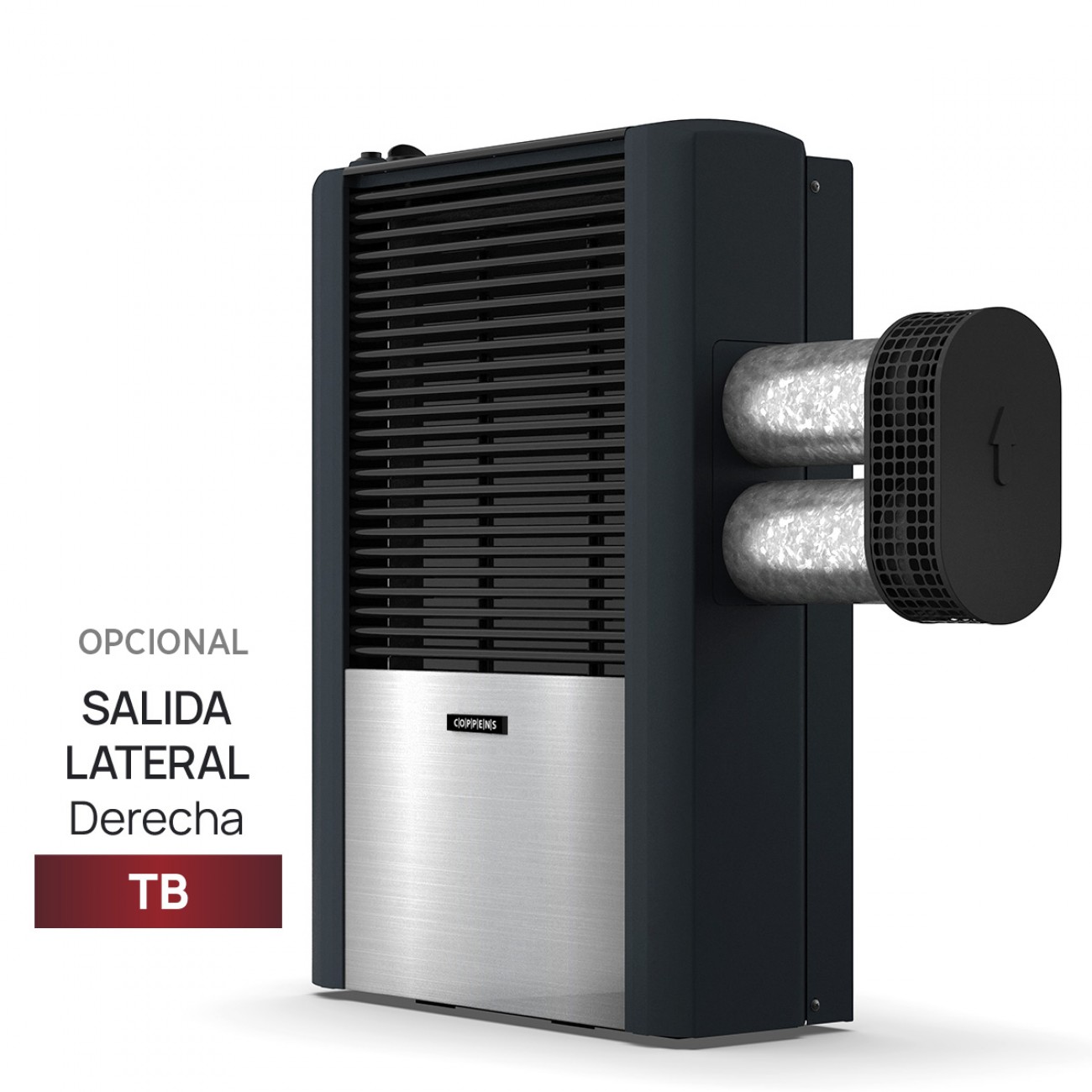Imagen Calefactor Tiro Balanceado Coppens 6000 Cal Salida Derecha
